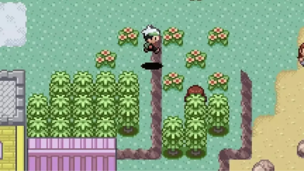 Pokemon Emerald Seaglass Cheat Codes