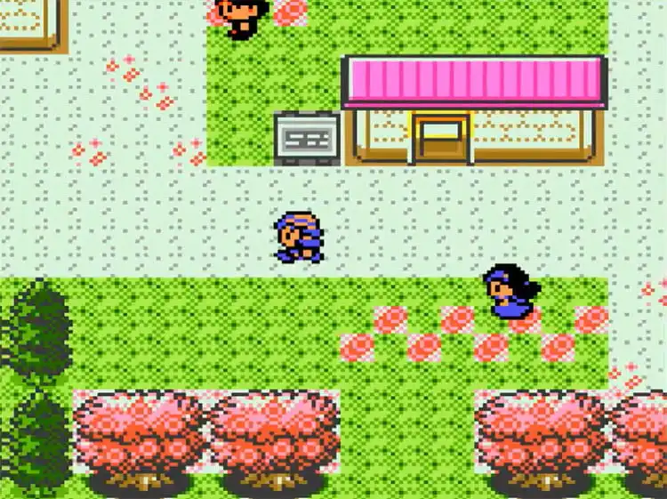 Pokémon Polished Crystal ROM