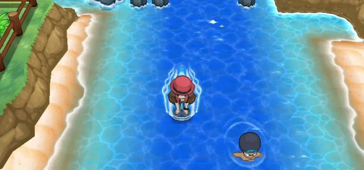 Pokémon Y ROM