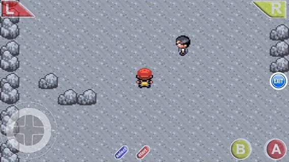 Pokémon Outlaw